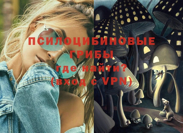 прущий лед Козельск