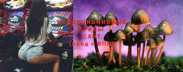 скорость Краснослободск