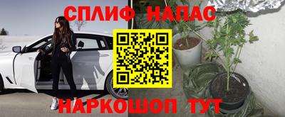 эйфоретик Жуковский