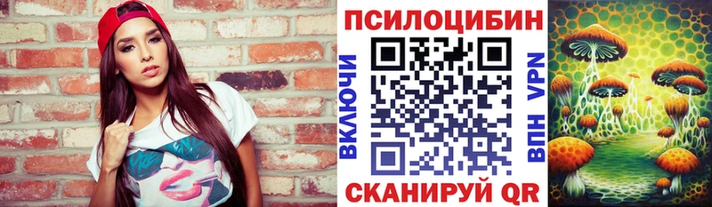 Псилоцибиновые грибы Cubensis  Мелеуз 