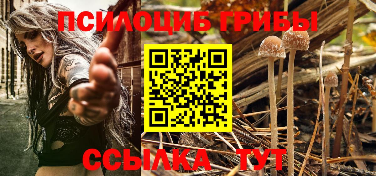 купить  цена  Галлюциногенные грибы GOLDEN TEACHER  Вход с VPN  Мелеуз 